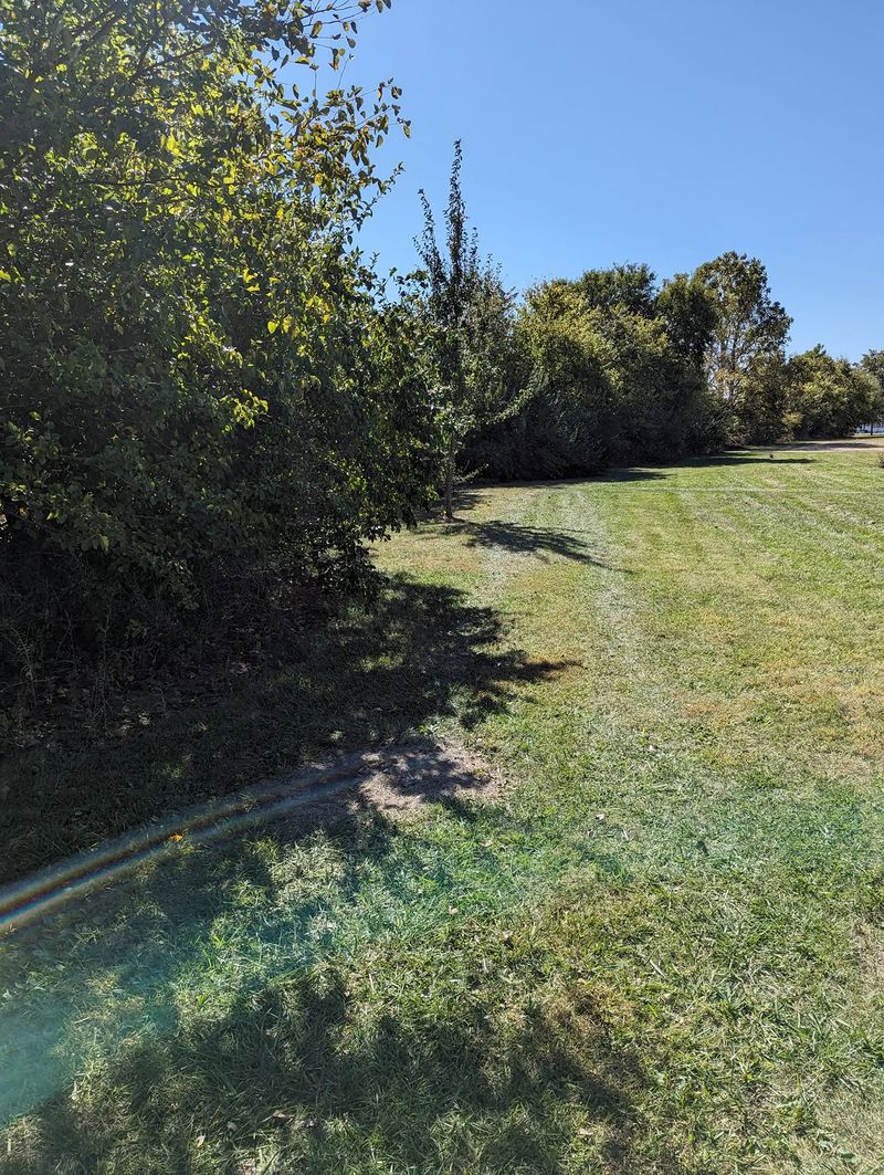 The same edge cleared back, with a mowed strip along it.