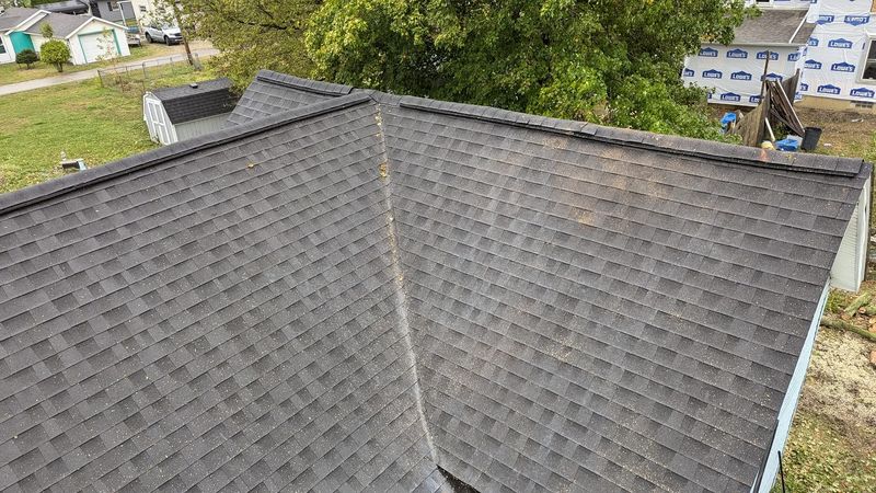 The same roof with the limbs gone.