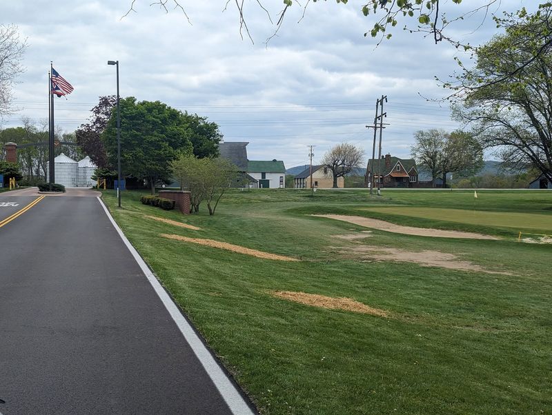 A campus entrance road and lawn with freshly seeded patches where large trees stood.