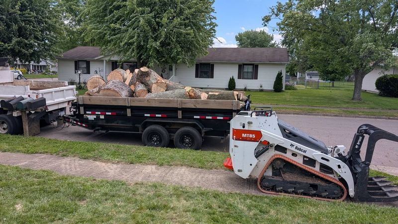 A dump trailer loaded with logs and a compact track loader parked on a driveway.