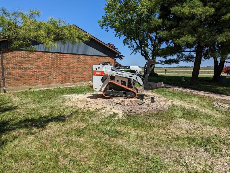 A compact track loader parked on top of a very wide stump beside a brick house.