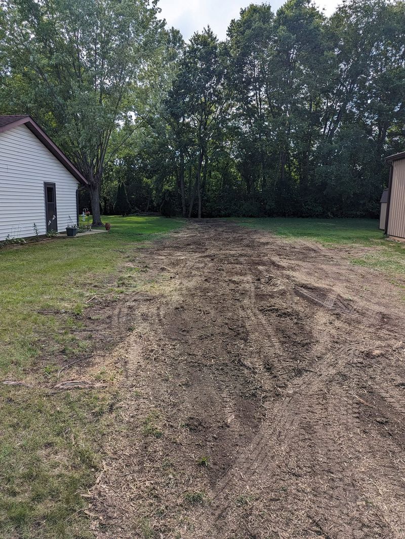 A back yard with a strip of leveled bare ground where a row of pines and their stumps were removed.