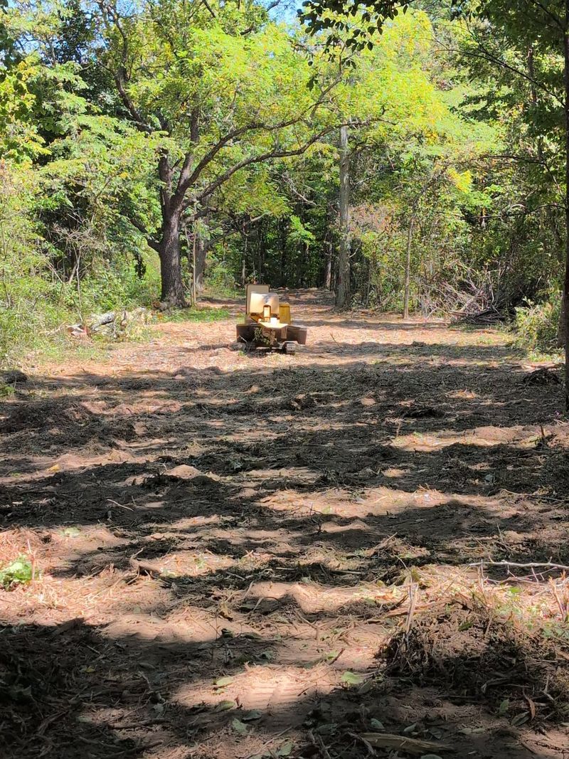 A wide lane of freshly mulched ground running between tree lines, with a tracked mulcher at the far end.
